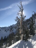 8C99E5E5-9193-4691-AB76-4402192368B0.jpeg