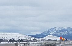 20180424_114032 (2).jpg
