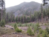 IMG_20210410_112655426.jpg