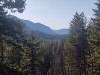 IMG_20210409_180953553.jpg