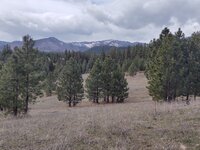 IMG_20210411_112133207.jpg