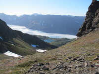Mountain goat (3).jpg