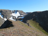 Mountain goat (4).jpg