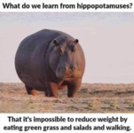 1618338129748.png