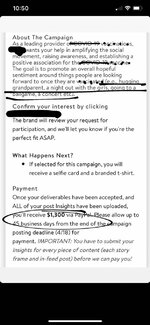 PaidPromoters.jpg