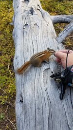 20180910_090241.jpg
