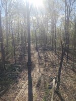 IMG_20210417_092747711.jpg IMG_20210417_092747711.jpg