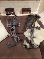 bows.jpg