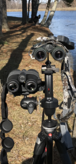 77E10103-71AC-4001-B1EE-049637AEDEA8.png 77E10103-71AC-4001-B1EE-049637AEDEA8.png