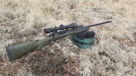 Gun 1.jpg
