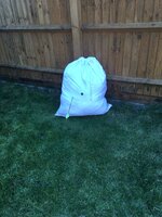 IMG_6910.JPG