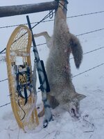 D4D360C0-5976-4503-9026-2A479ADBE482.jpeg
