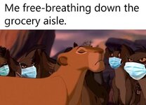 311071E4-B7BB-4928-903F-B206F9F9F1CF.jpeg