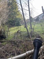 IMG_2114.jpeg