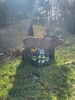 IMG_2139.jpeg