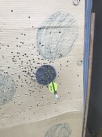 E4B1E717-7310-4903-8D38-C4267850C18C.jpeg