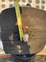 B4665EDA-AB04-4D65-8824-162CB889E383.jpeg