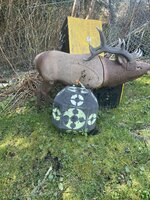 IMG_2151.jpeg
