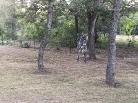 1619054255281.jpeg