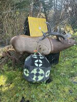 IMG_2169.jpeg