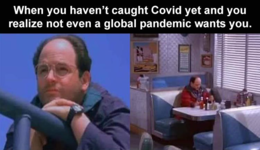 1619200221695.png