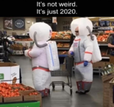 1619204438554.png
