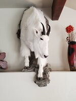 20210406_165756.jpg