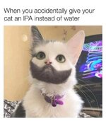 ED3E161C-CF0C-4599-A0EE-C30316E95B9B.jpeg