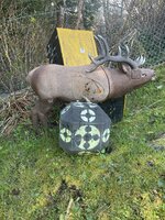 IMG_2183.jpeg