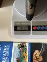 IMG_3926.JPG