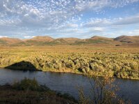 IMG_2349.jpg