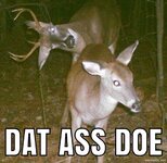 DatAssDoe.jpg