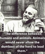 DifferenceBetweenHumansAndAnimnals.jpg