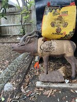 IMG_0251.jpeg