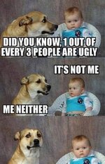583485f95b98d026.jpeg