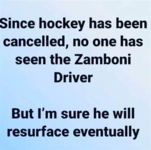 1619701518578.png