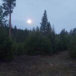 IMG_20210430_173233_381.jpg