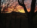 IMG_2731.jpg