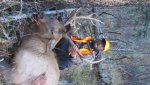 IMG_3402.jpg IMG_3402.jpg