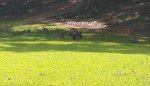 20160416_152241.jpg