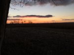 IMG_2914.jpg