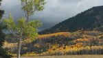 utah fall.jpg