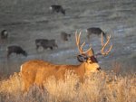 IMG_3212.jpg