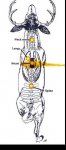 Barnes168TSXBroadside.jpg