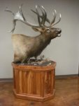 Elk Pedestal.jpg