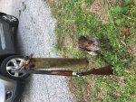 IMG_0284.jpg