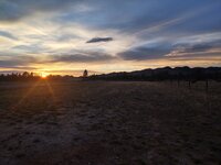 IMG_20210430_202832917_HDR.jpg