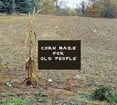 cornmaze1.jpg