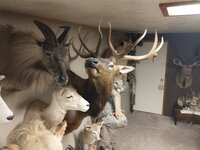 IMG_20210503_165614376.jpg