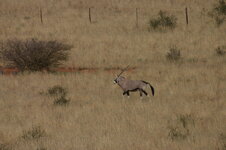 Namibia 2005 087.jpg